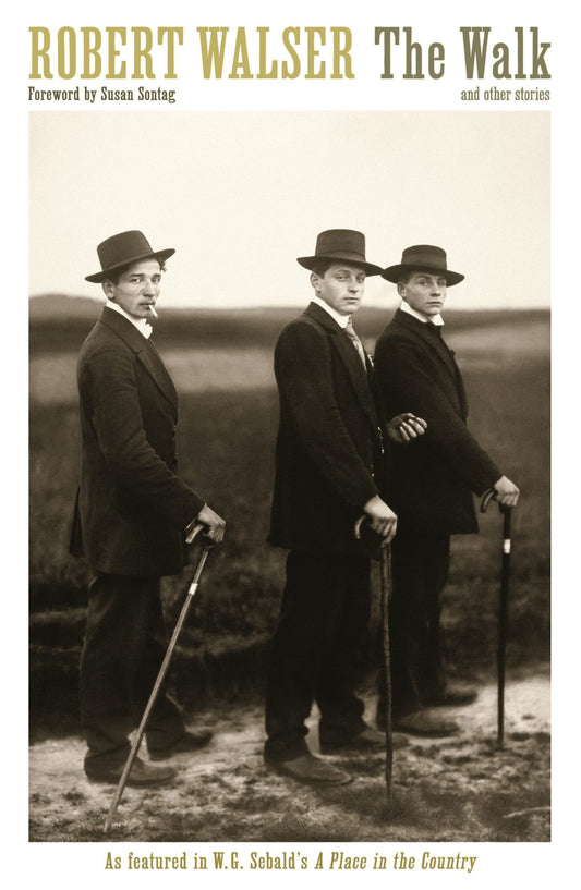 The Walk - Robert Walser (tr. Christopher Middleton)