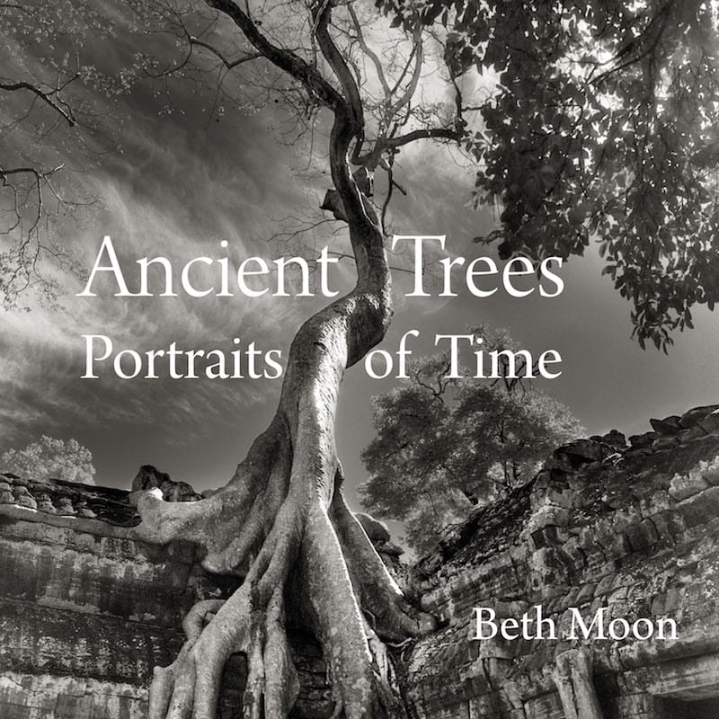 Ancient Trees: Portraits of Time - Beth Moon
